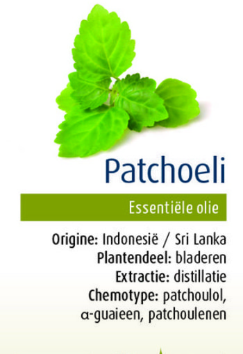 Physalis Patchoeli (10 Milliliter)