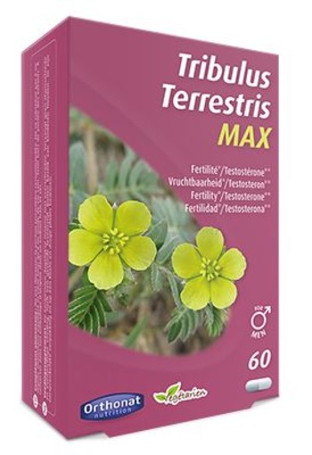 Orthonat Tribulus terretris max (60 Capsules)
