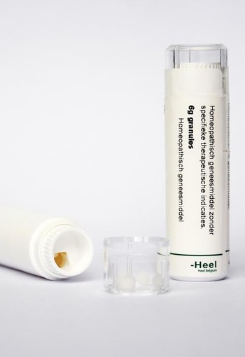 Homeoden Heel Gelsemium sempervirens 200K (6 Gram)