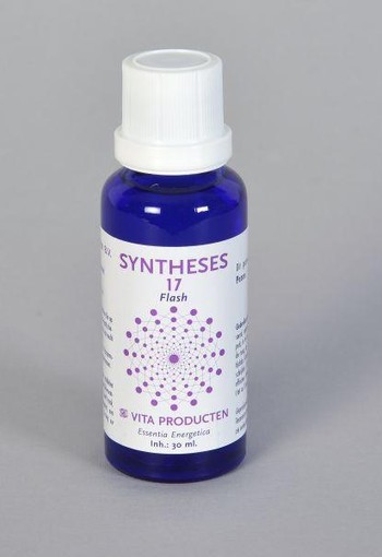 Vita Syntheses 17 flash (30 Milliliter)