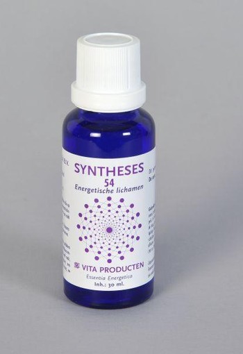 Vita Syntheses 54 energetische lichamen (30 Milliliter)