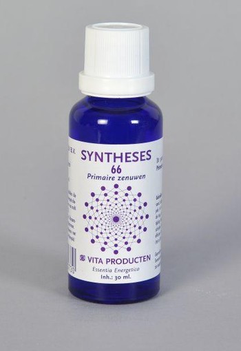 Vita Syntheses 66 primaire zenuwen (30 Milliliter)