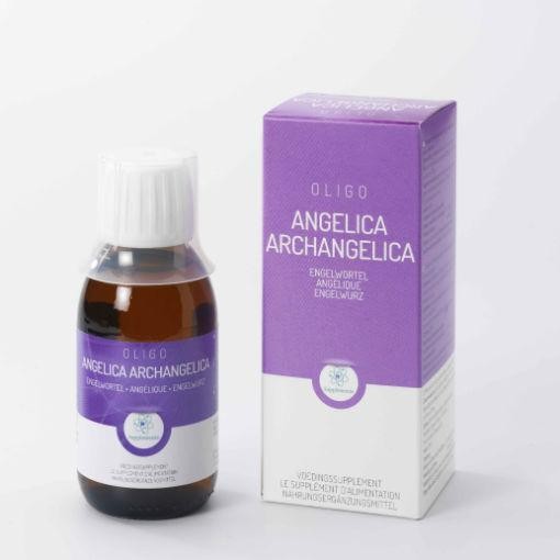 Oligoplant Angelica angelica arch (120 Milliliter)