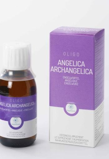 Oligoplant Angelica angelica arch (120 Milliliter)