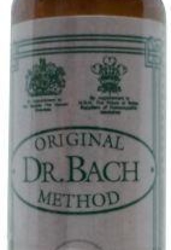 Ainsworths Chicory Bach (10 Milliliter)