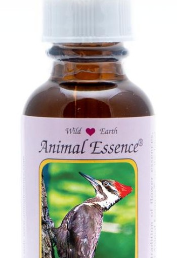 Animal Essences Pileated woodpecker (helmspecht) (30 Milliliter)