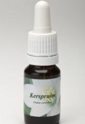 Star Remedies Kerspruim (10 Milliliter)