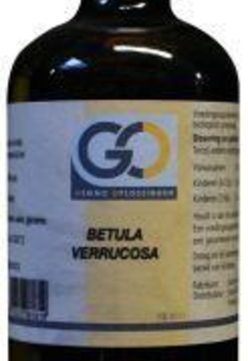 GO Betula verrucosa bio (100 Milliliter)