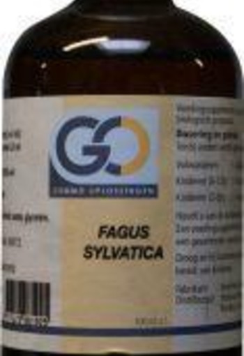 GO Fagus sylvatica bio (100 Milliliter)