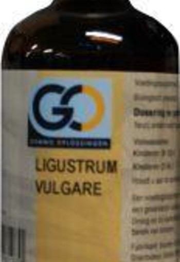 GO Ligustrum vulgare (100 Milliliter)