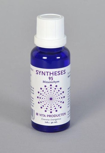 Vita Syntheses 95 mesenchym (30 Milliliter)