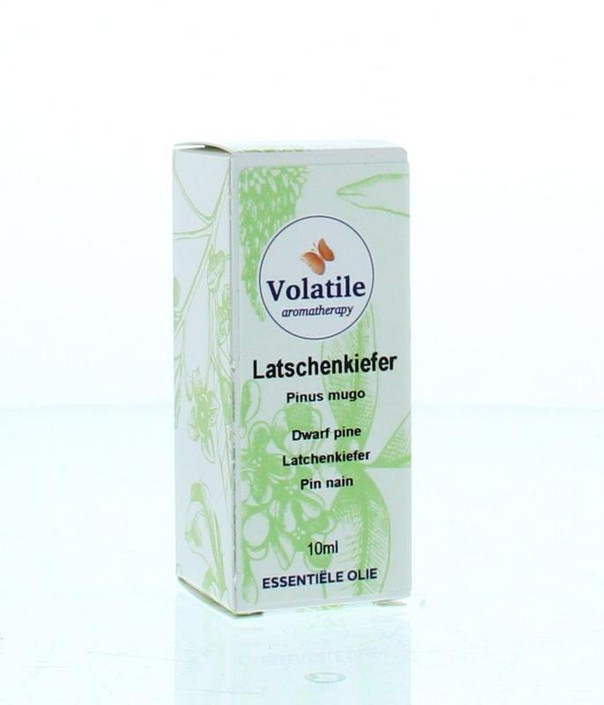 Volatile Latchenkiefer (10 Milliliter)